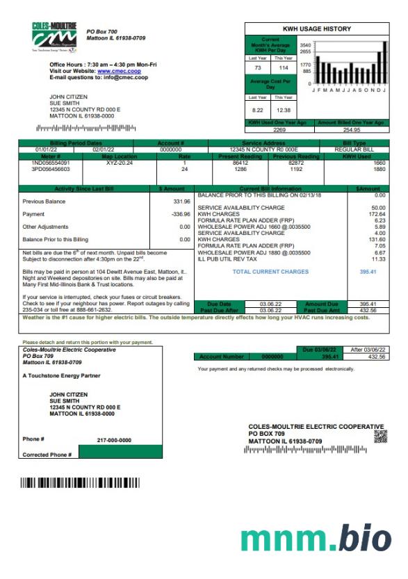 USA Coles-Moultrie rachunek za media szablon w formacie Word i PDF